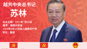 越共中央总书记苏林简历