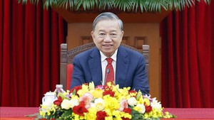 越共中央总书记苏林与古共中央第一书记、古巴国家主席通电话