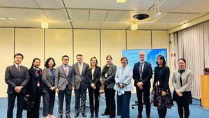 越南呼吁各国尽快签署并批准《河内公约》