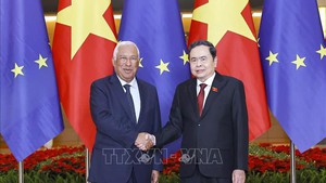 越南国会主席陈青敏会见欧洲理事会主席