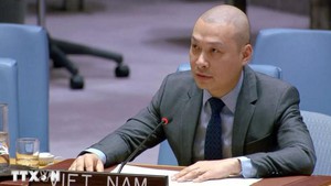 越南愿为加沙地带和平与重建进程作出应有贡献