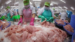 2025年越南水产品出口创新纪录，超过110亿美元