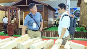 越日贸易额首次突破500亿美元