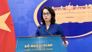 欢迎欧盟将越南从税务不合作管辖区名单中移除