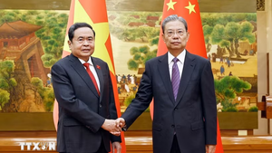 越南国会主席陈青敏与中国全国委员会委员长赵乐际举行会谈
