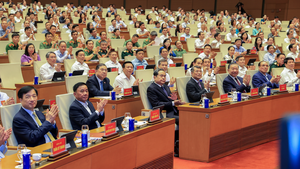 贯彻落实越共十四届四中全会决议的全国会议
