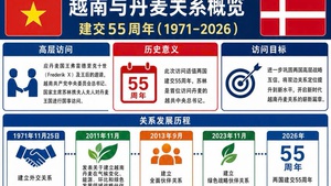 越南与丹麦关系概览