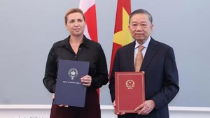 越南与丹麦发表关于建立全面战略伙伴关系的联合声明