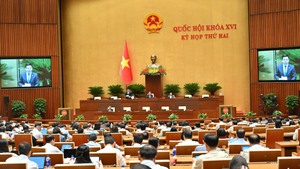 国会听取关于《住房法》（修正）和《房地产经营法》（修正）的审议报告