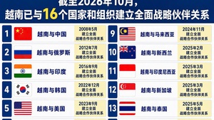 越南与16个国家和组织建立全面战略伙伴关系