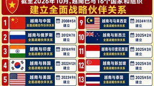 越南与16个国家和组织建立全面战略伙伴关系