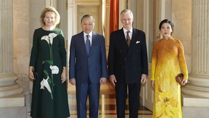 越共中央总书记、国家主席苏林会见比利时国王菲利普