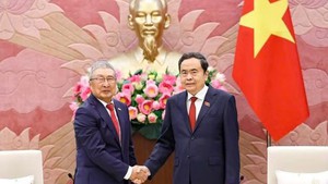 深化越南与韩国民间交流