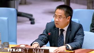 越南和国际社会一道 呼吁终止对古巴的封锁