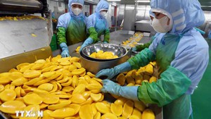 越中推进农产品贸易合作