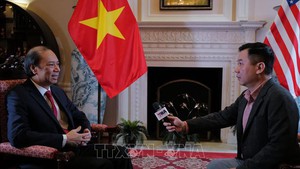 越南将积极、主动参加解决国际和地区共同问题