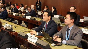 越南保持对不扩散核武器的一贯立场