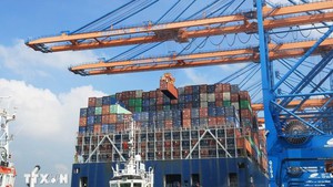 越南和欧洲自由贸易联盟加快自贸协定谈判