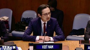 《东南亚友好合作条约》签署50周年座谈会在纽约举行