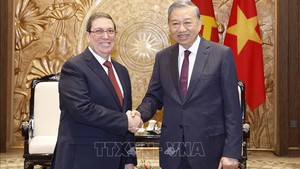 越共中央总书记苏林会见古巴共产党和国家特使