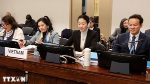 越南在联合国消除对妇女歧视委员会对话会重申其地位