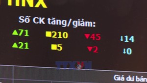 2026年投资机遇——以内生动力为坚实支点