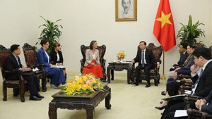 越南和联合国开发计划署、世界卫生组织合作改善空气质量