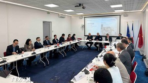 越南与法国企业促进能源和高科技合作