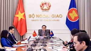 东盟外长就中东形势召开特别会议