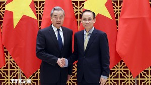 越中两国外交部长进行战略沟通