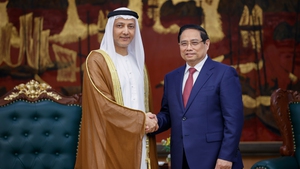 政府总理范明政会见阿联酋驻越南大使