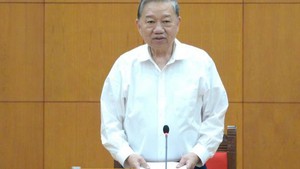 苏林总书记：须制定经济重组的具体战略和步骤