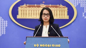 越南坚决驳斥美国涉越南宗教的不实言论