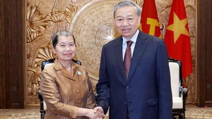 苏林总书记会见柬埔寨祖国发展团结阵线国家委员会主席