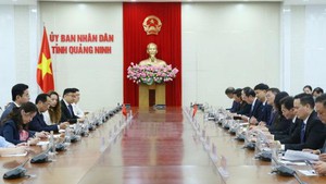 越南广宁省与中国广西壮族自治区展开全面合作