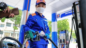 能源安全：重启乙醇工厂 服务生物汽油转换路线图