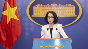 越南反对使用武力攻击主权国家