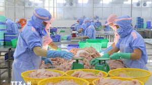 2026年前两月越南农林水产品出口额同比增长17.1%