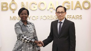 黎怀忠部长与法语国家组织秘书长举行会谈