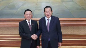 越共中央书记处常务书记陈锦秀会见柬埔寨代理国家元首、人民党主席、参议院主席洪森