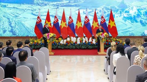 越南与斯洛伐克两国总理一致同意将其关系提升为战略伙伴关系
