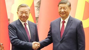 中国媒体：越共中央总书记、国家主席苏林此访体现双边关系的战略性和高度重要性