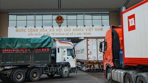 推动越中贸易合作增长的新动力