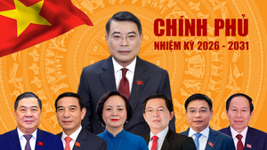 越南政府总理和副总理分工决定