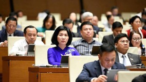 国会继续讨论未来5年经济社会发展计划