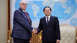 国际原子能机构向越南递交综合核基础设施审查最终报告