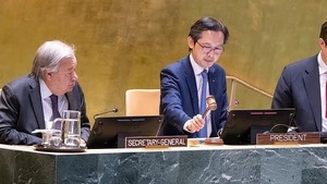 越南主持《不扩散核武器条约》缔约方第11次审议大会