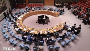 越南代表出席联合国安理会海上安全问题高级别公开辩论会 强调遵守国际法