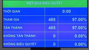 国会选举武氏映春为越南国家副主席