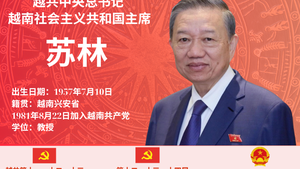 越共中央总书记、国家主席苏林的简历